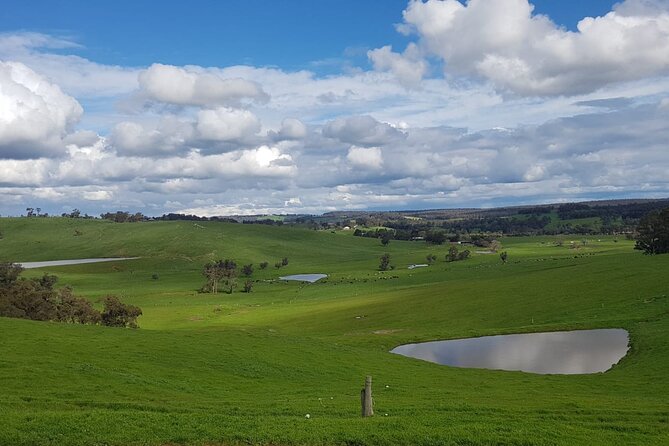 Ferguson Valley Full Day Tour - Explore Wineries and Breweries