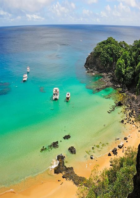 Fernando De Noronha: 7-Hour Island Adventure - Itinerary Highlights