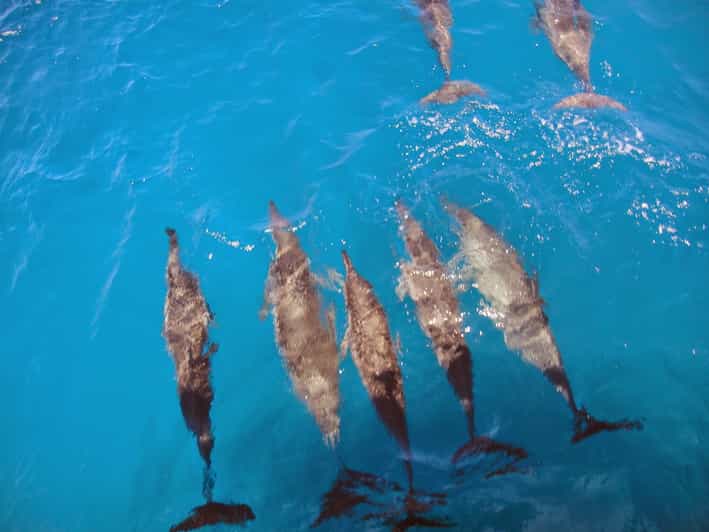 Fernando De Noronha: Catamaran Tour With Meal and Transfer - Discovering the Archipelago