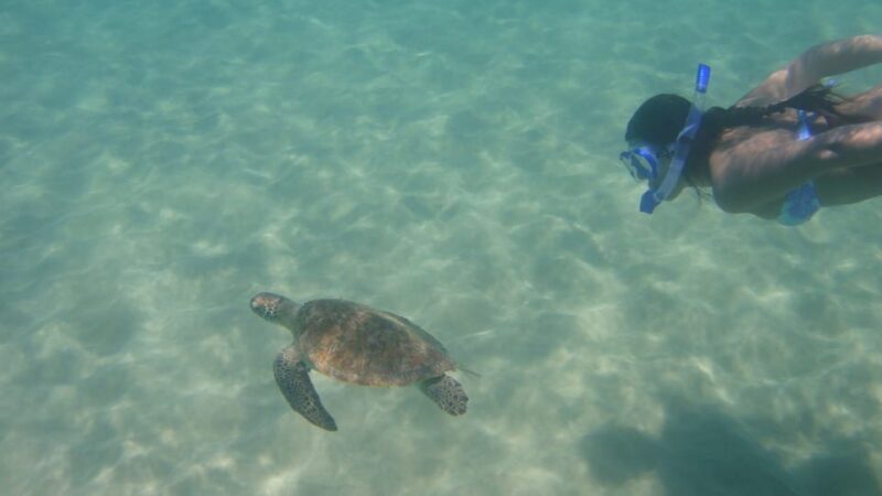 Fernando De Noronha: Catamaran Tour With Meal and Transfer - Hotel Pickup and Drop-off