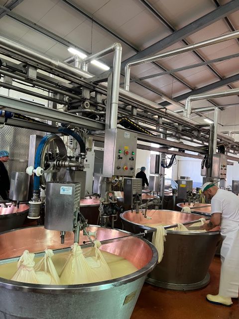Ferrari Museum, Parmesan Cheese, Balsamic Vinegar Food Tour - Customer Reviews