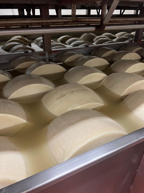 Ferrari, Parmesan and Balsamic Day Tour From Bologna - Return to Bologna