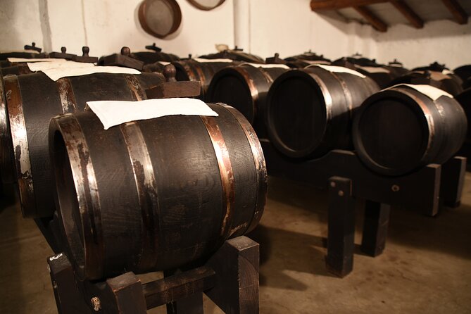 Ferrari Parmesan Cheese Balsamic Vinegar Wine & Food PRIVATE TOUR From FLORENCE - Pricing and Availability