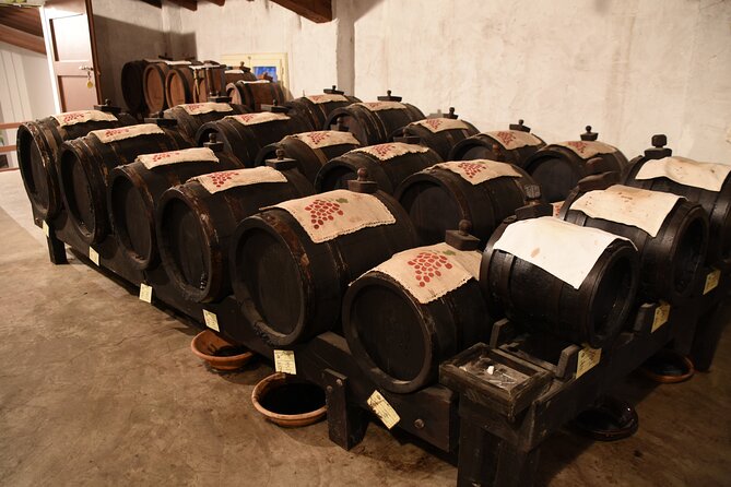 Ferrari Parmesan Cheese Balsamic Vinegar Wine & Food PRIVATE TOUR From FLORENCE - Non-Refundable Policy