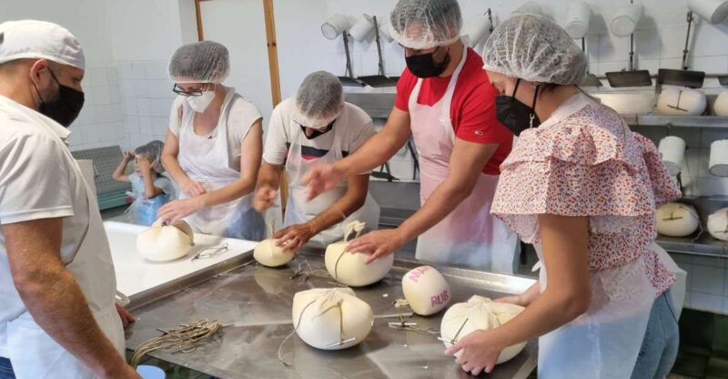 Ferreries: Cheesemaking and Farm-Fresh Product Tasting - Experience Highlights