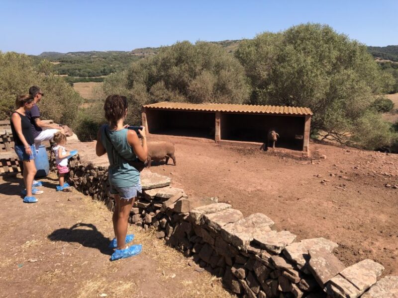 Ferreries: Cheesemaking and Farm-Fresh Product Tasting - Inclusions