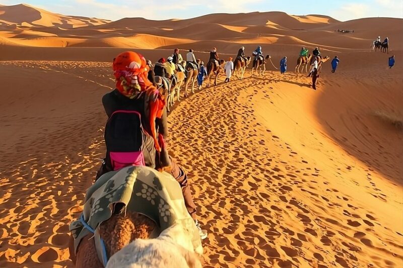 Fes: 2 Days Desert Trip to Merzouga (1 Night), Return to Fes - Itinerary Highlights
