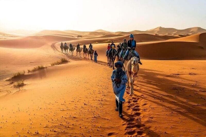Fes: 2 Days Desert Trip to Merzouga (1 Night), Return to Fes - Camel Ride Experience