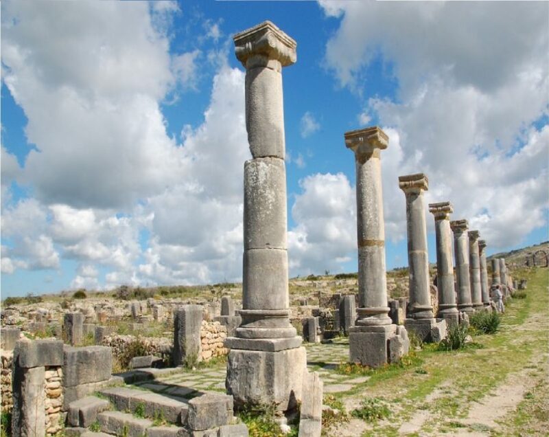 Fes: Day Trip to Meknes Volubilis and Moulay Idriss - Inclusions and Languages