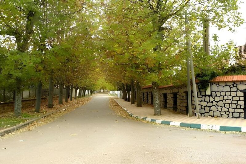 Fes: Day Trip to Middle Atlas: Imouzzer, Ifrane, Azrou - Key Points