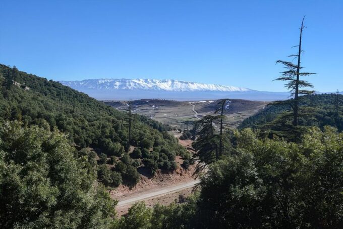 Fes: Day Trip to Middle Atlas: Imouzzer, Ifrane, Azrou - Experiencing Azrou