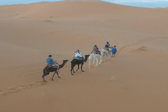 Fes Desert Tour 3 Days - Itinerary: Day 3
