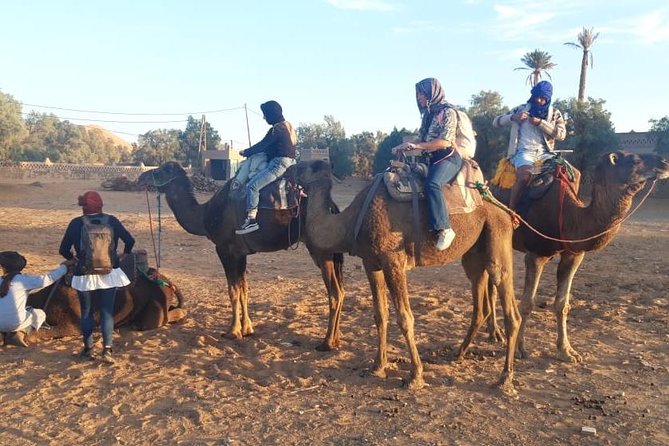 Fes Desert Tours 2 Days - Logistics