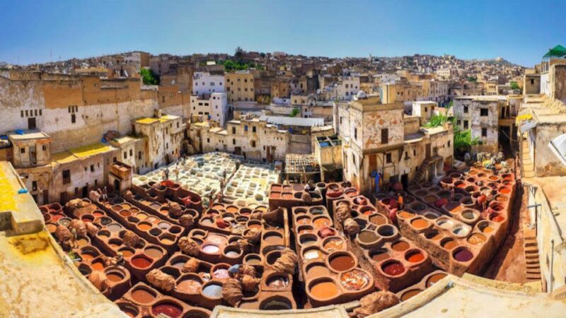 Fes Full Day Guided Tour - Experience Highlights