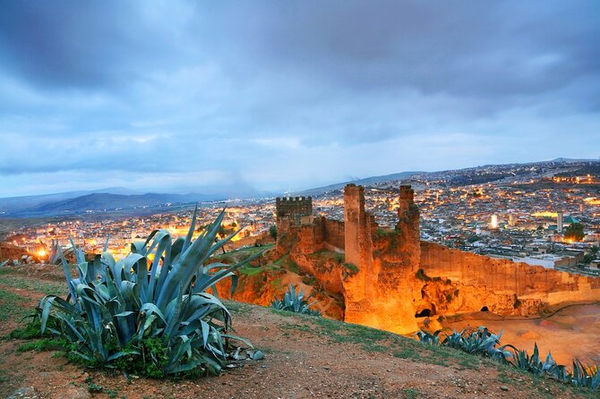 Fes Full Day Private Guided Tour - Inclusions and Amenities