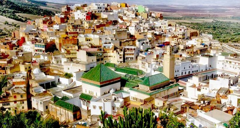 Fes: Full-Day Trip to Volubilis, Moulay Idriss, and Meknes - Customer Feedback and Ratings