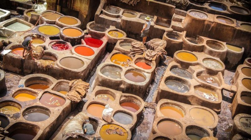 Fes: Historical and Cultural Sightseeing Tour - Half Day - Inclusions and Logistics