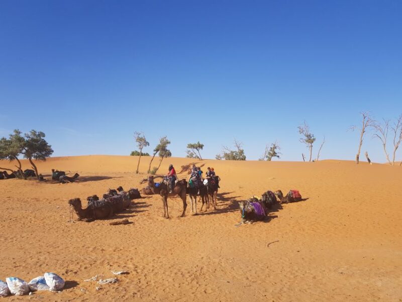 Fes: Merzouga Desert 2-Day Tour - Itinerary Highlights