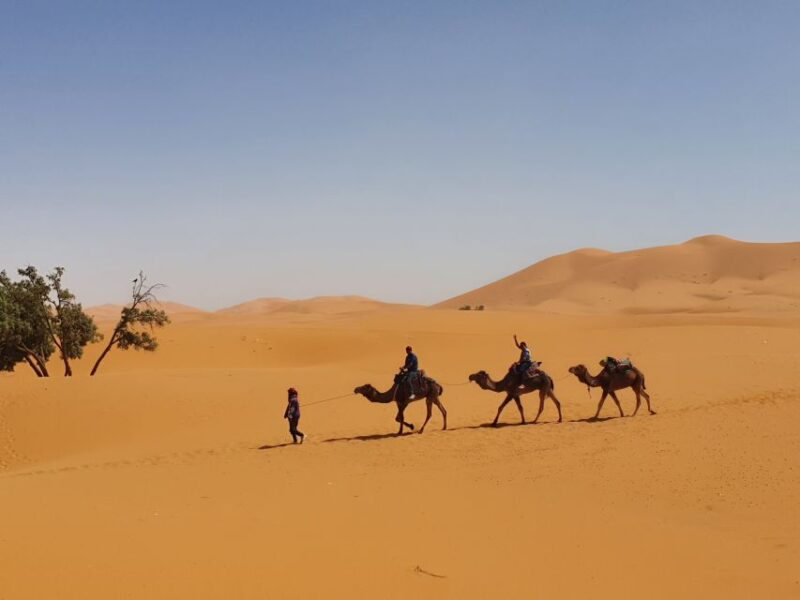 Fes: Merzouga Desert 2-Day Tour - Transportation and Accessibility