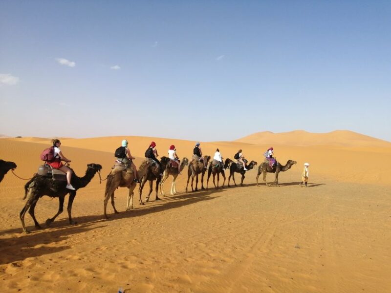 Fes: Merzouga Desert 2-Day Tour - Camel Ride in the Desert