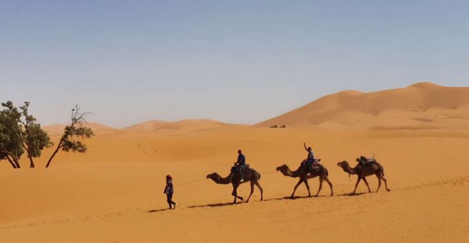 Fes: Merzouga Desert 2-Day Tour - Scenic Drives and Landscapes