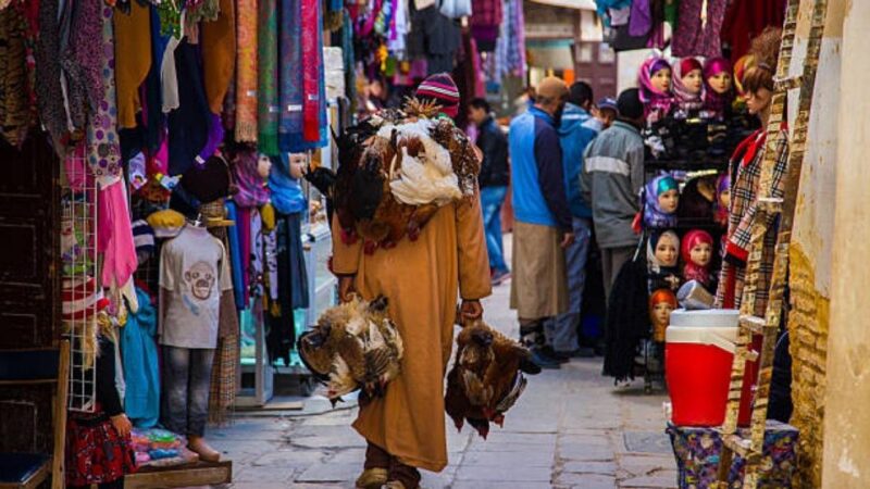 Fes : Old Medina Guided Walking Tour - Experience Highlights