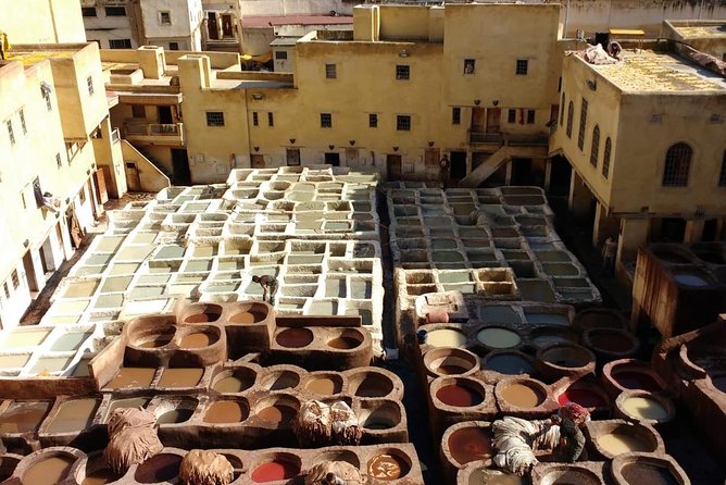 Fes Private Cultural and Historical Guided Tours - Cultural Immersion Opportunities