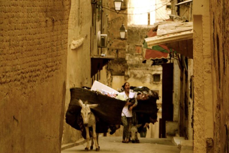 Fes: Private Full-Day Sightseeing Tour - Important Information and Restrictions