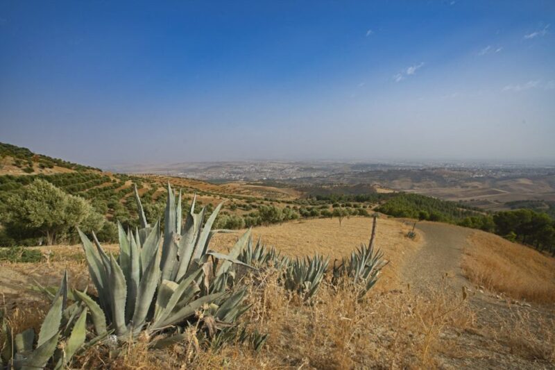 Fes: Private Hiking Experience Along the Zalagh Hillside - Picnic and Refreshments