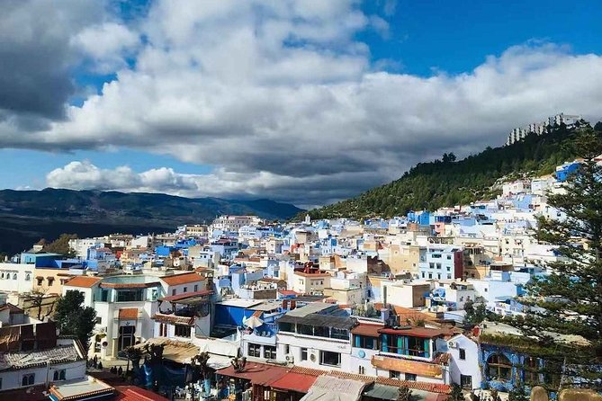Fes to Chefchaouen Day Trip - Accessibility and Suitability