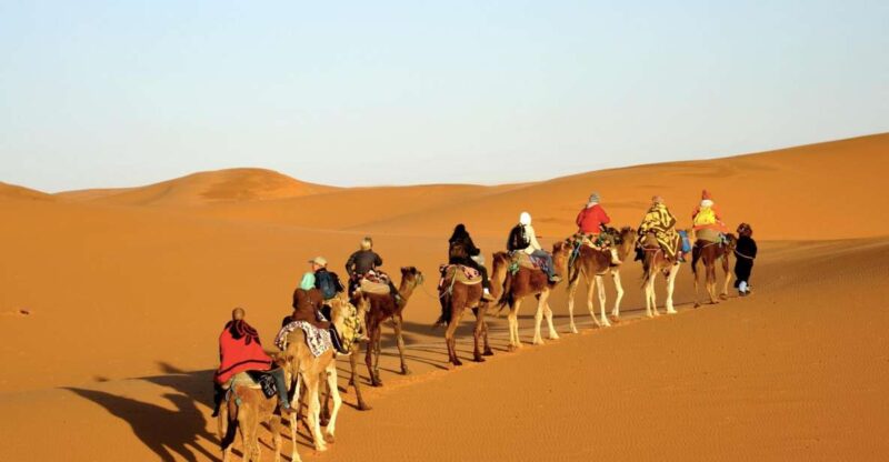 Fes To Marrakech: 3-Day Desert Tour - Itinerary Highlights