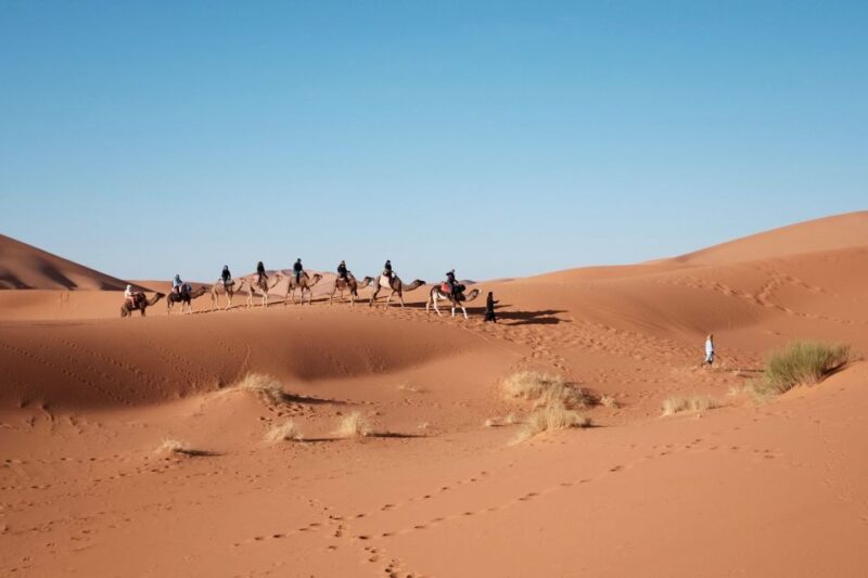 Fes To Marrakech: 3-Day Desert Tour - Inclusions
