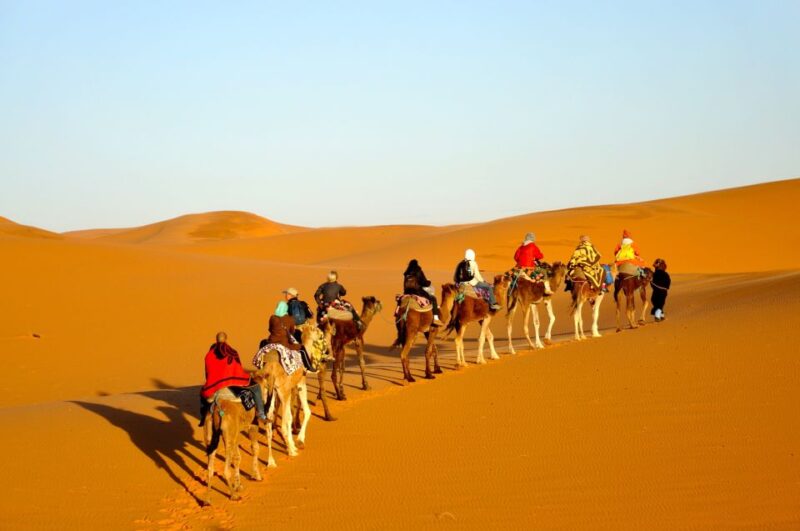 Fes To Marrakech: 3-Day Desert Tour - Customer Reviews Summary