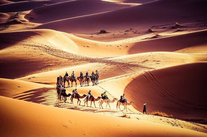 Fes to Marrakech 3 Days Desert Tour - Key Points