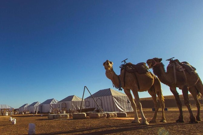 Fes to Marrakech Desert Tours 3 Days - Health and Accessibility