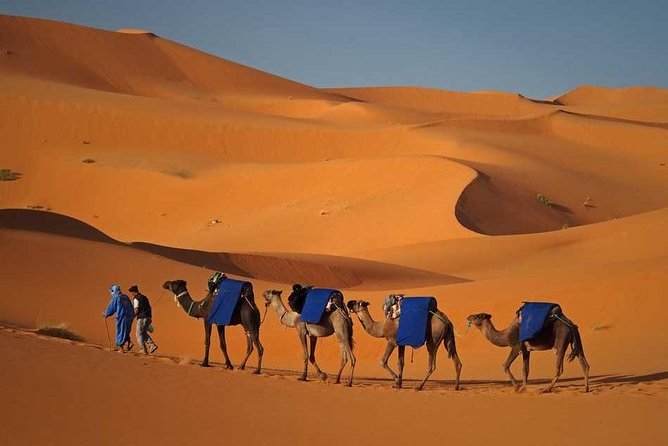 Fes to Marrakech via Desert Tour 2 Days 1 Night - Accommodation Details