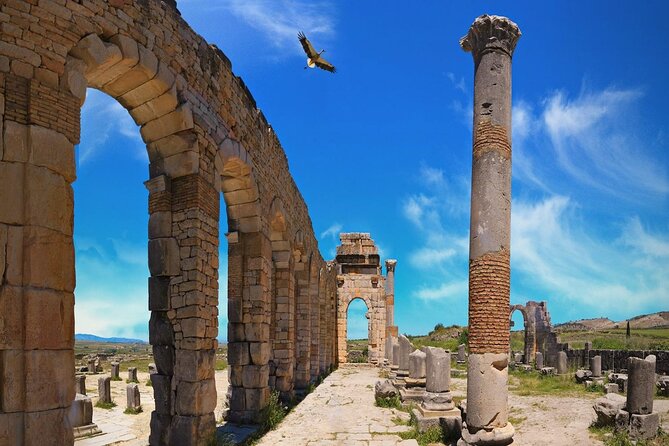 Fes to Meknes and Volubilis Day Trip - Exploring Fes