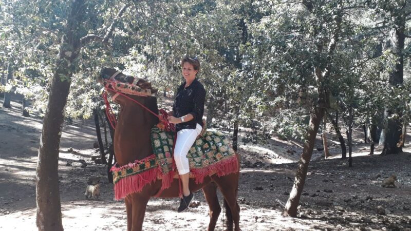 Fes to Middle Atlas Mounains Berber Villages Caves Day Trip - Encounter Ifrane Experience