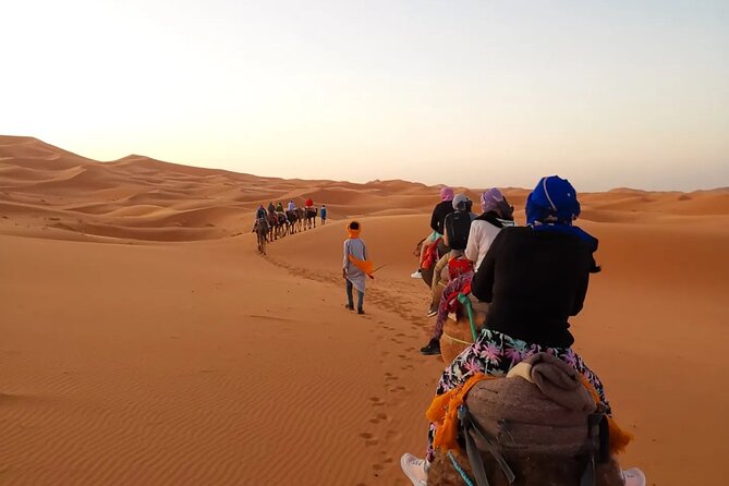 Fes to Sahara Desert 2-Day Tour: Camel Trek, Berber Camp & Sunset - Camel Trekking and Sandboarding