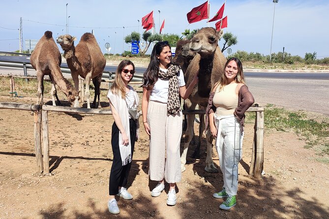 Fes to Sefrou and Bhalil Day Trip - Reviews and Feedback