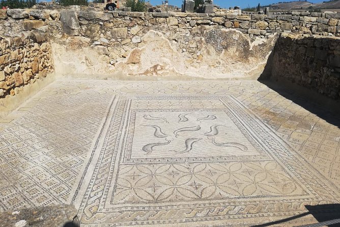 Fes to Volubilis, Moulay Idriss and Meknes Private Day Trip - Discovering Meknes