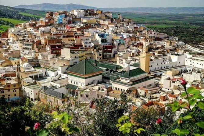 Fès to Volubilis, Moulay Idriss and Meknès Private Day Trip - Itinerary Details
