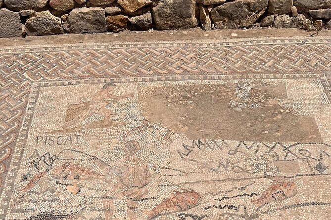 Fès to Volubilis, Moulay Idriss and Meknès Private Day Trip - Pricing and Booking Information