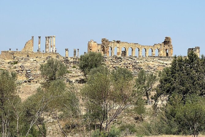 Fès to Volubilis, Moulay Idriss and Meknès Private Day Trip - Customer Experiences and Ratings