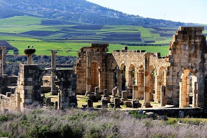 Fes to Volubilis, Moulay Idriss and Meknes Private Day Trip - Meknes: Imperial City Highlights