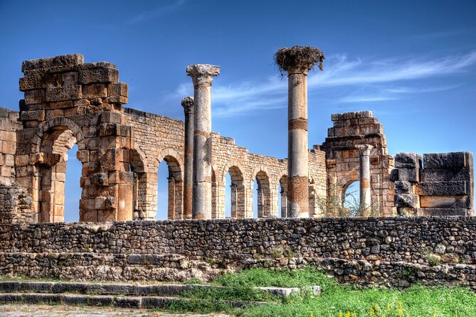 Fes to Volubilis, Moulay Idriss and Meknes Private Day Trip - Itinerary