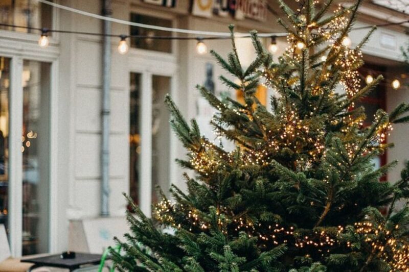 Festive Journey in Sirmione Christmas Walking Tour - Enoteca Delle Antiche Mura