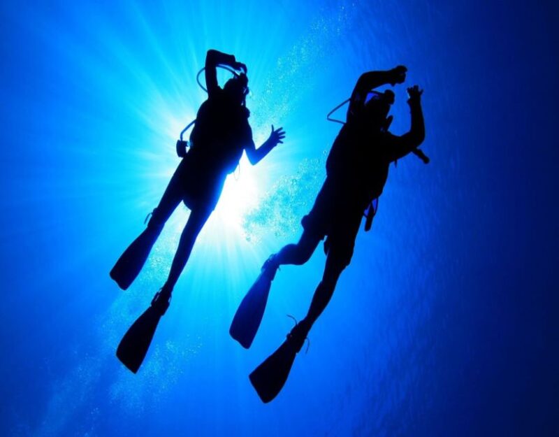 Fethiye: 2 Guided Scuba Dives With Lunch and Hotel Transfers - Pricing and Inclusions