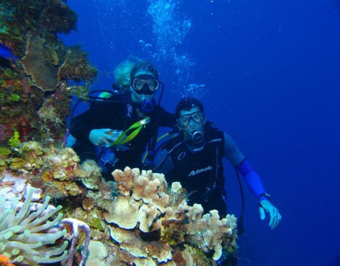 Fethiye: 2 Guided Scuba Dives With Lunch and Hotel Transfers - What to Bring