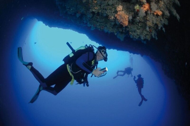 Fethiye Diving Adventure: Explore the Aegean Sea! - Underwater Ecosystem Exploration